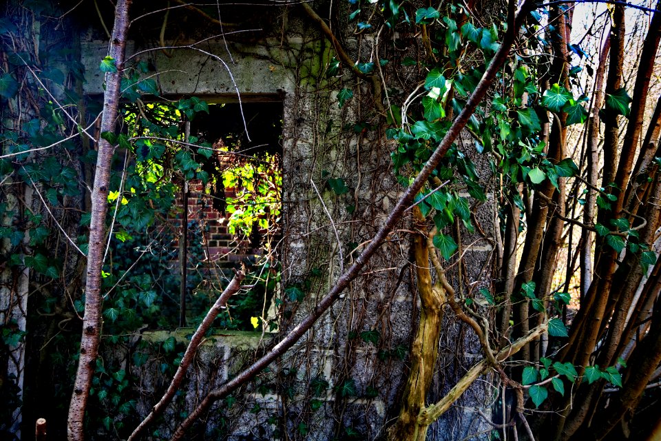 Light in the window 