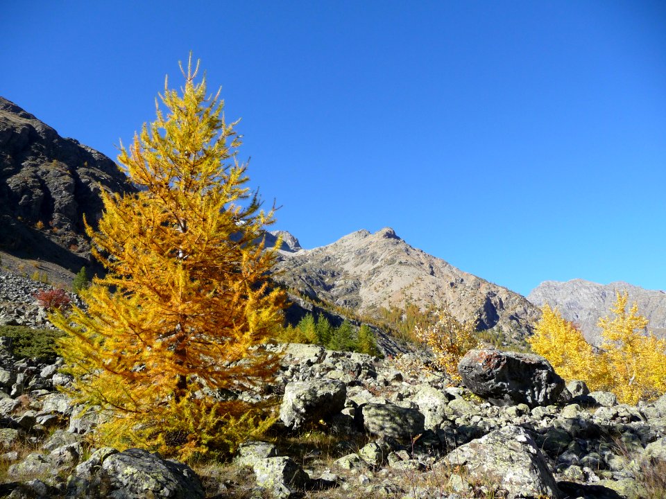 P1160069 