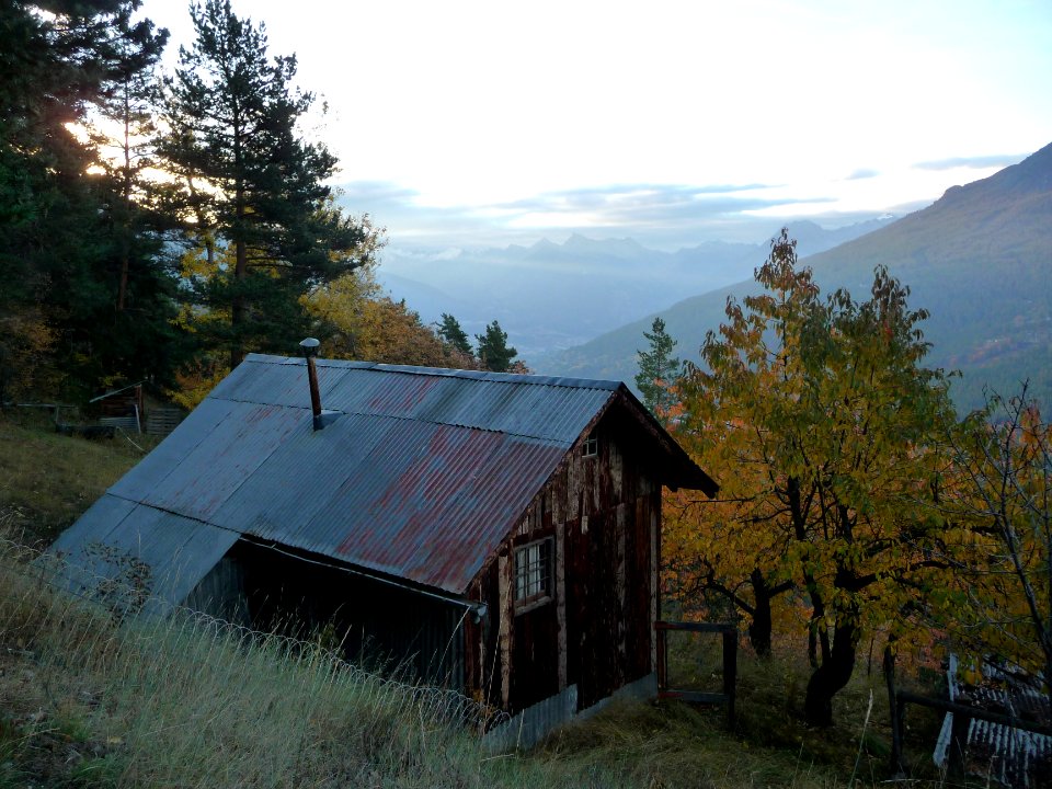 Une cabane au toit de tôle 