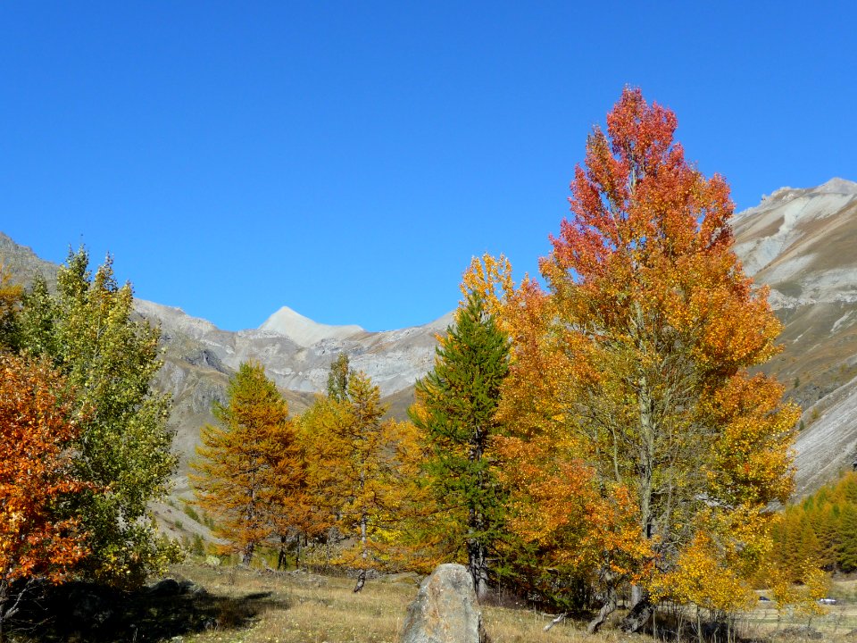 Vallon de Chambran, la pointe de la Cucumelle 