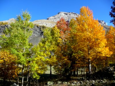 Vallon de Chambran. L'automne, les couleurs explosent dans… 