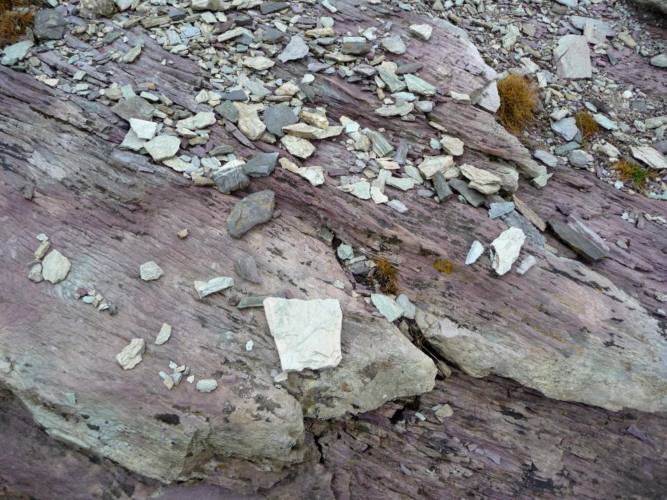 P1160974 