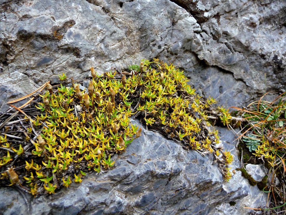 P1170055 