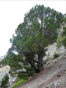 P1170085 