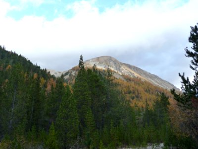P1160931 