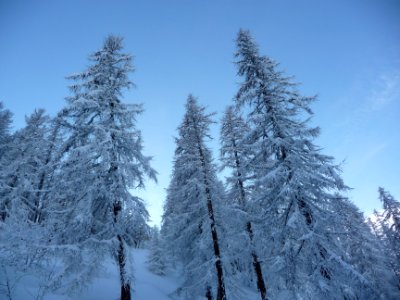 Une splendeur en noir et blanc, avec un ciel d'un léger bl… 
