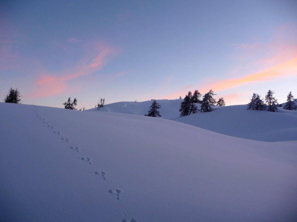 Lumière du soir aux Têtes, au dessus du col de la Pousterl… 