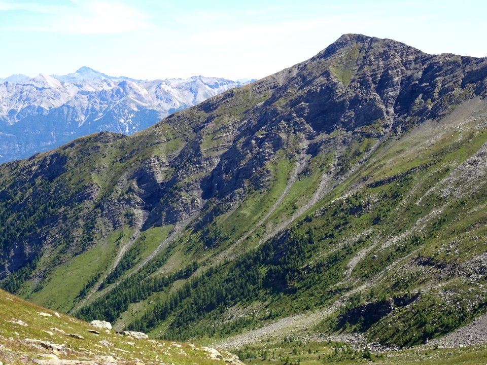La Pendine, versant Col du Bal, tout vert 
