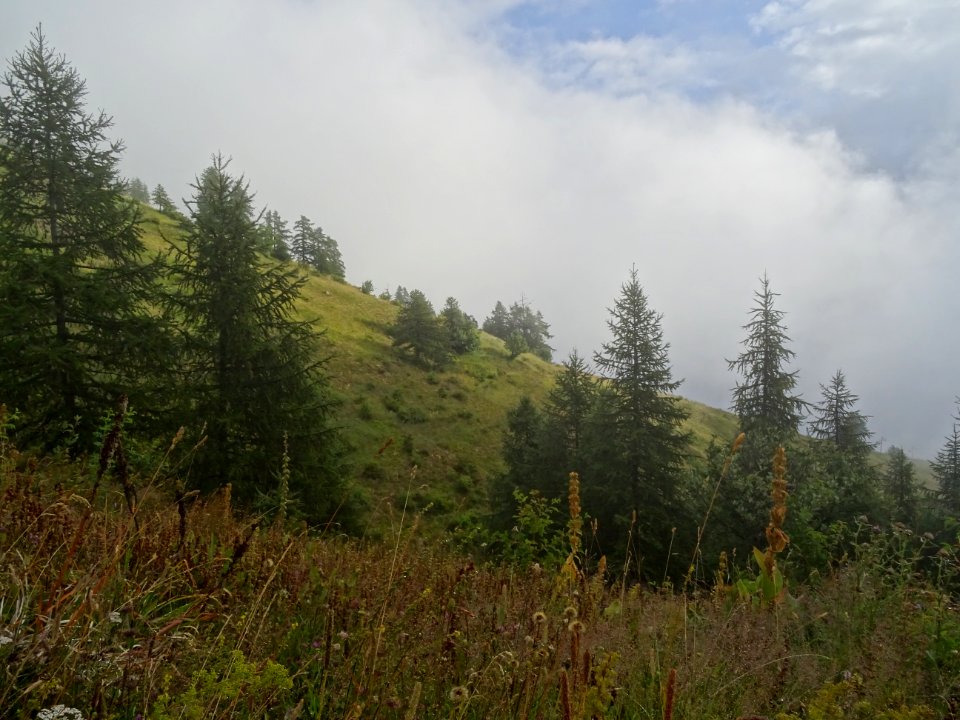 A la limite du brouillard, en montant à la Blanche 