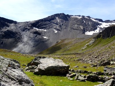 Troupeau de moutons 