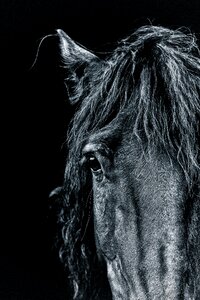Black dark artistic