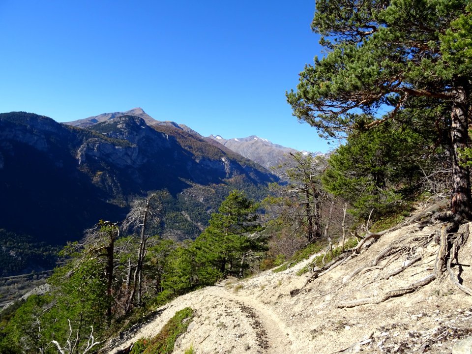 La Cime de l'Etoile 