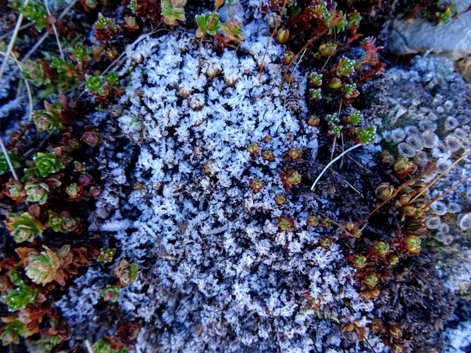 Givre et cristaux en batonnets 