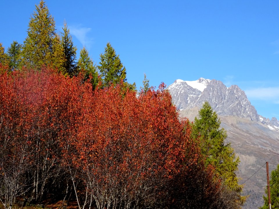 Le Mont Pelvoux 