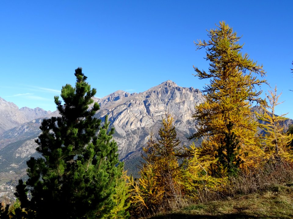 Le Montbrison 