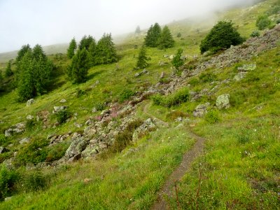 Montée dans les alpages, avec le brouillard qui remonte 