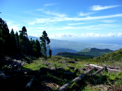 Zone de coupe à blanc, en montant au Piton du Petit Mapou,… 