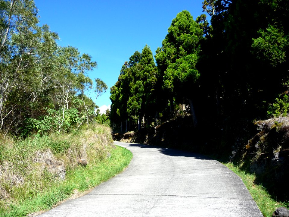 Route forestière des Makes 