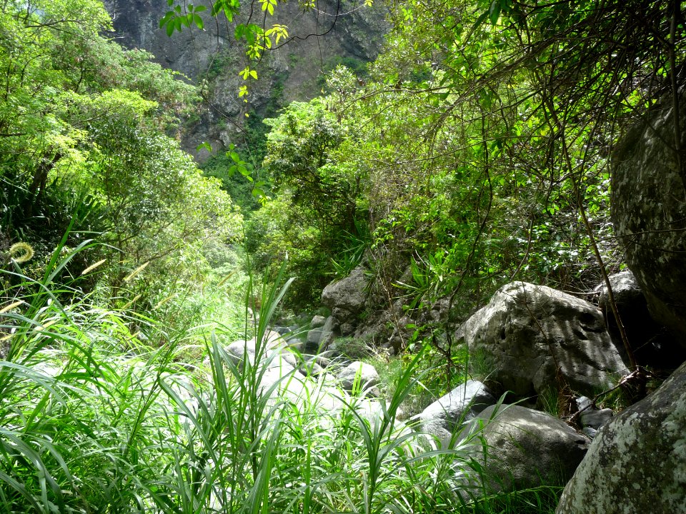 Encore des herbes hautes et des rochers qui freinent la pr… 