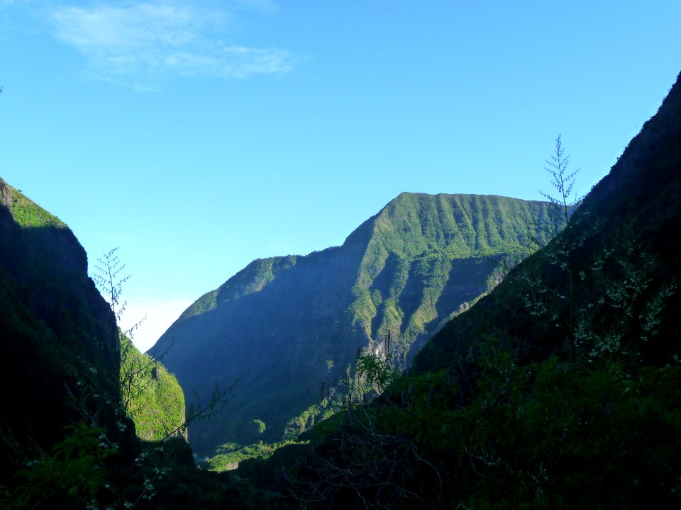 Le Cap Noir, majestueux et tout de vert revêtu 