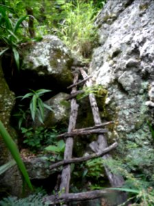 Une échelle de bois d'antan, toute tordue et prise dans le… 
