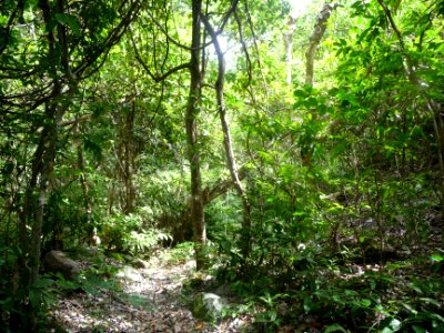 Passage dans un sous-bois plus sec 