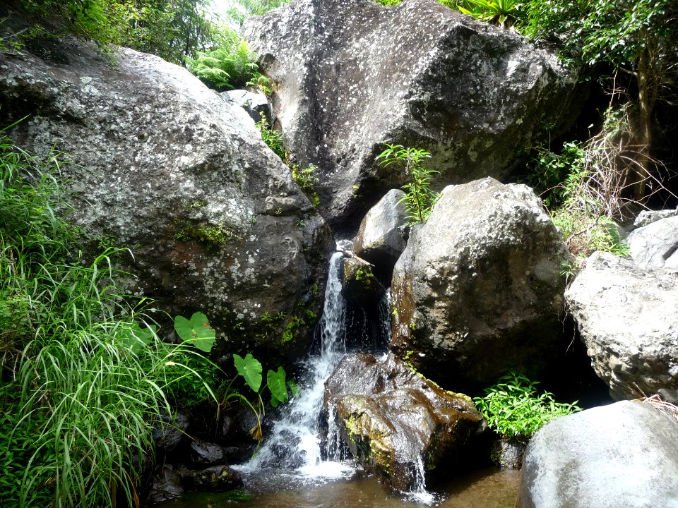 Petit ressaut et fraîcheur de l'eau 