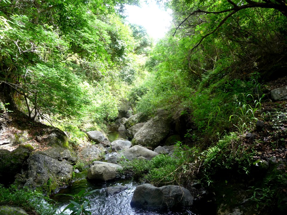 Progression dans l'eau, sur les rochers ou dans la végétat… 