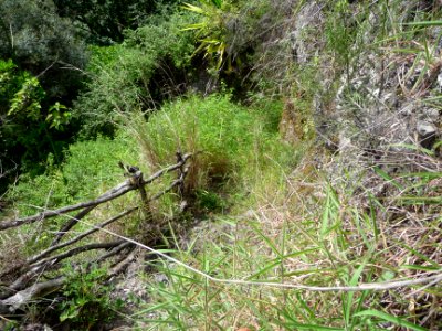 Encore un passage pittoresque du sentier entre rambarde br… 