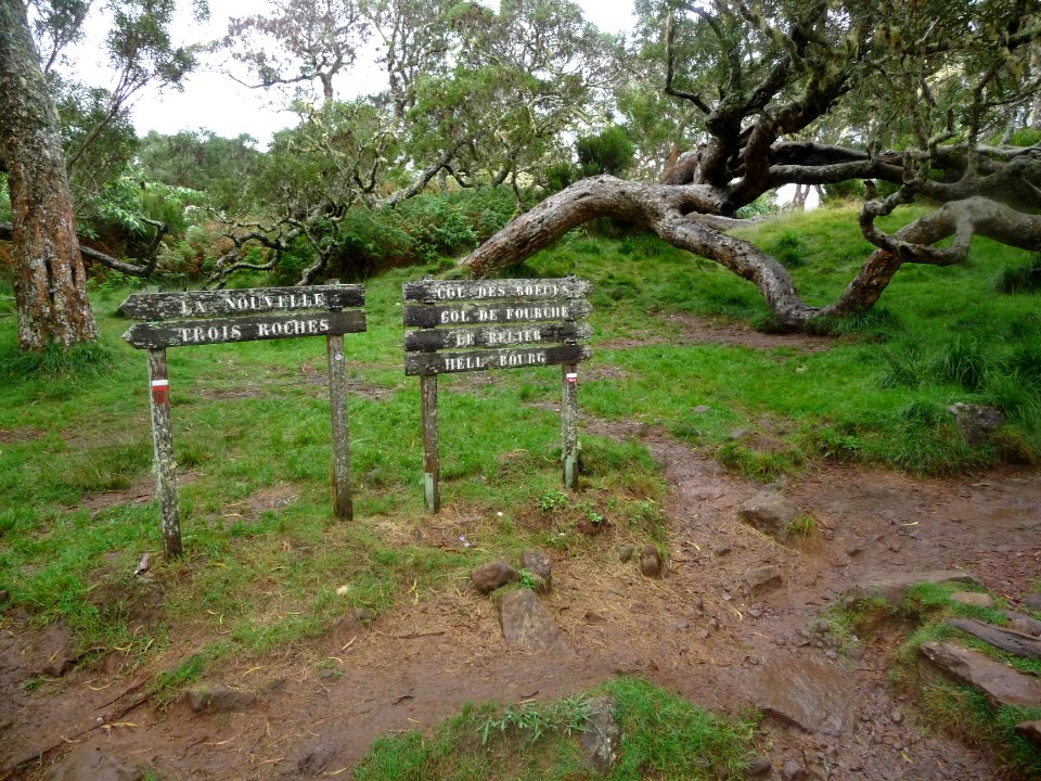 Pancartes à La Plaine des Tamarins 