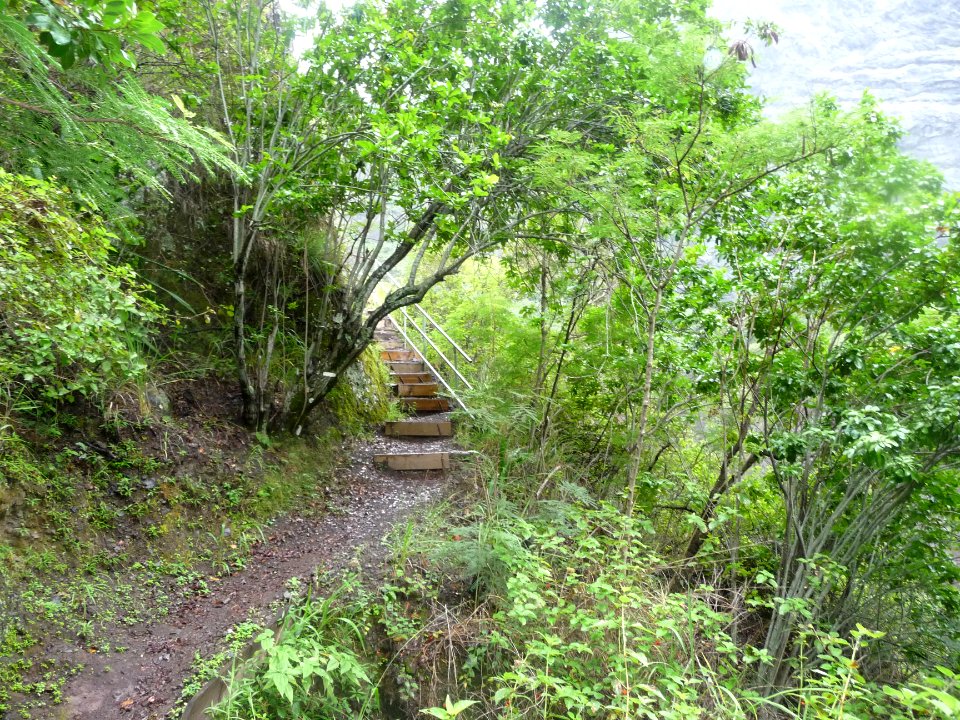 Le sentier débute à plat, puis monte et redescend rapideme… 