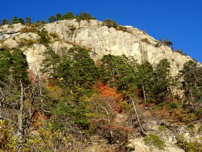 La falaise des Vigneaux 