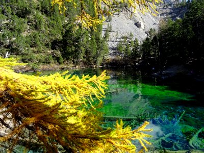 Lac Vert, dans la Vallée Etroite 