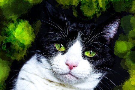 Green portrait eyes