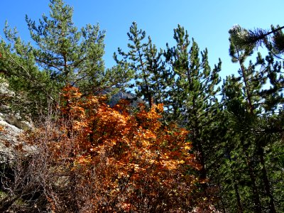 DSC03064 