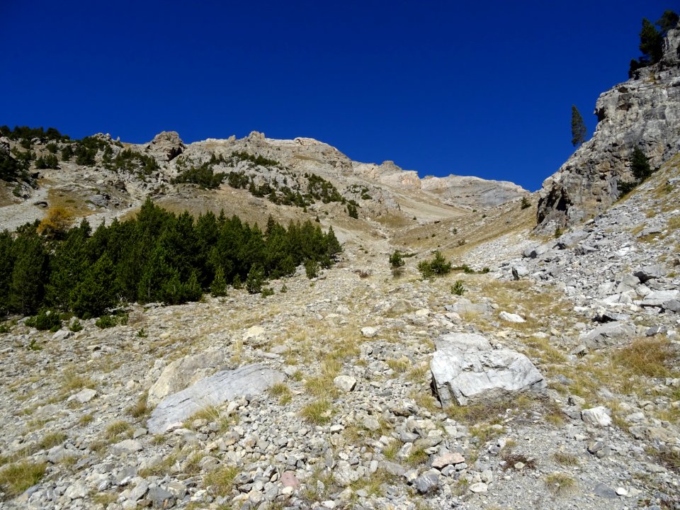 Eboulis de l'Alpavin, vue à mi-pente vers le haut 
