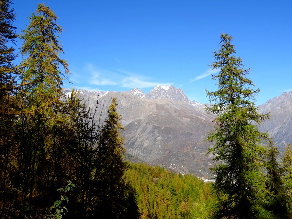 Le Mont Pelvoux 