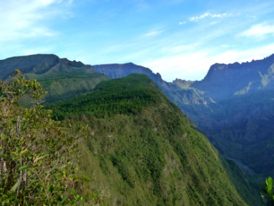 La Fenêtre, Le Piton Cabris et sa forêt de cryptomérias et… 