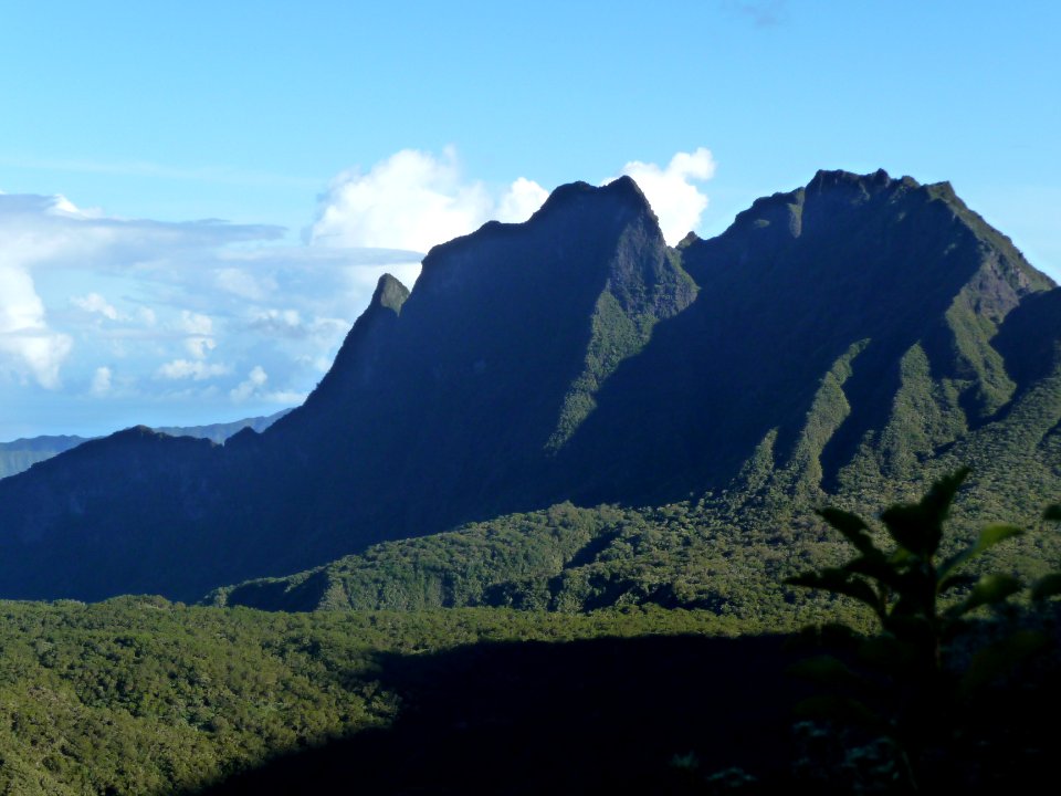 Le Morne de Fourche, trapu, fier et inaccessible 