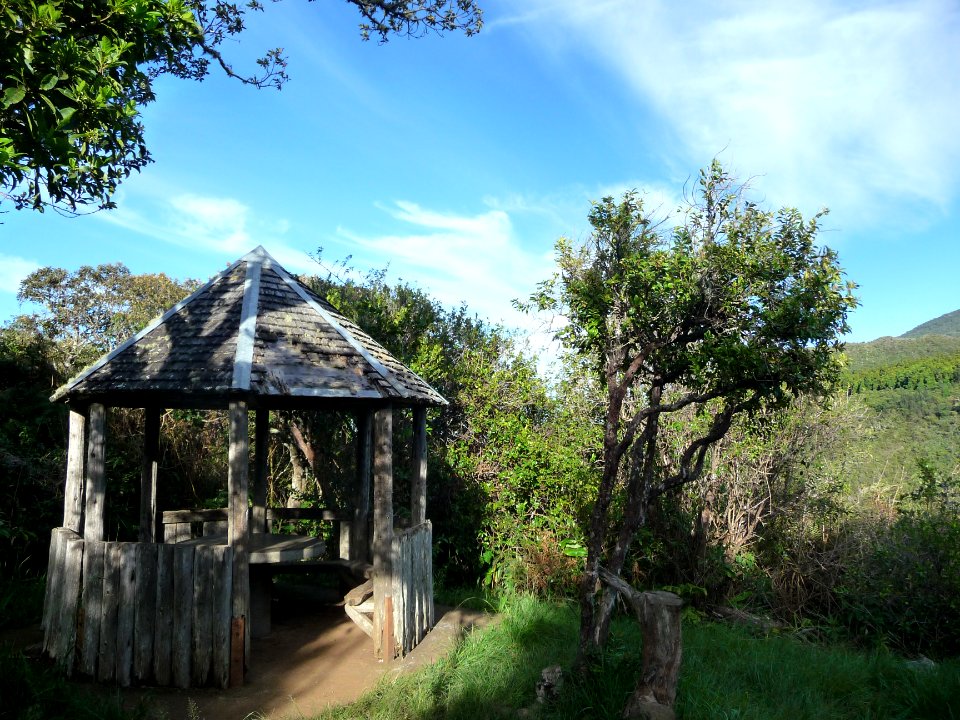 Le kiosque du Bois de Nèfles (1311 m) 
