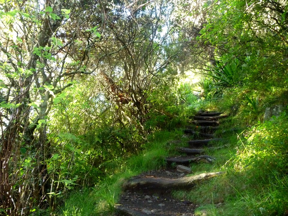 Passage à l'ombre et nombreuses marches 