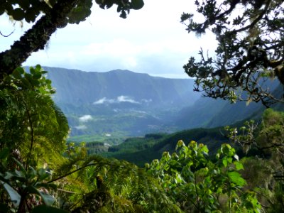 A travers la végétation, vue sur le cirque de Salazie et l… 