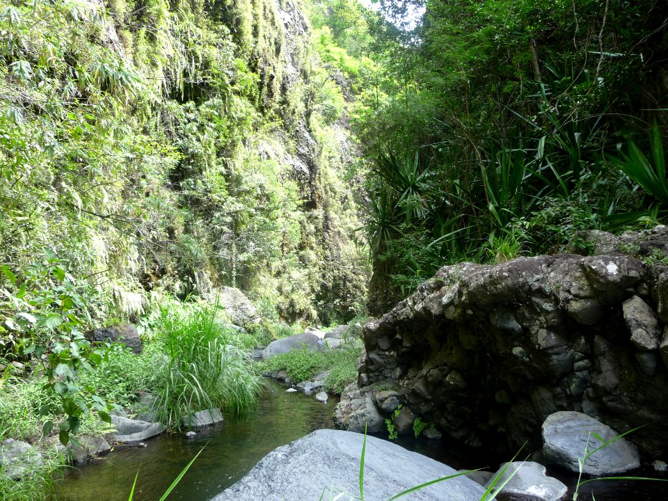 Passage où la gorge se resserre entre deux flancs couverts… 