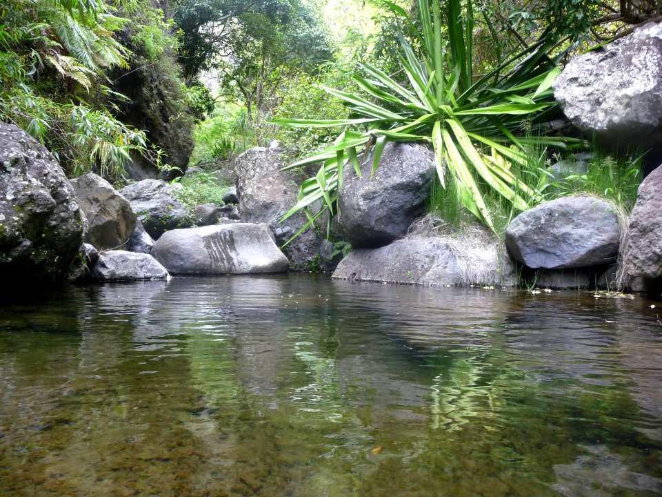 Les pieds dans l'eau 