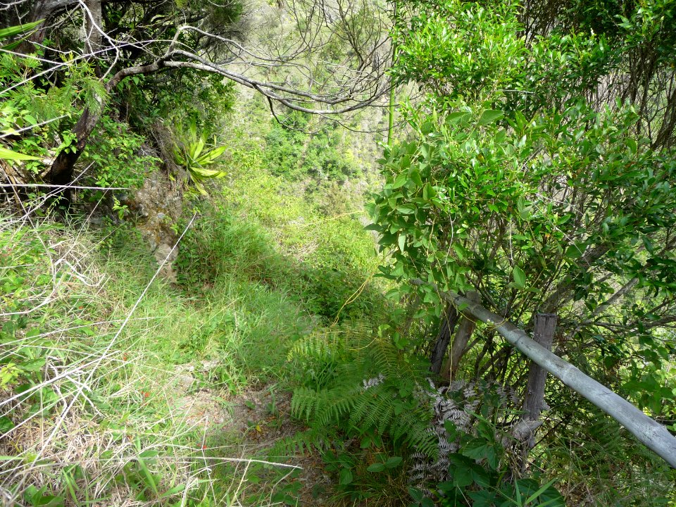 Le sentier est là, quelques marches et un semblant de ramb… 