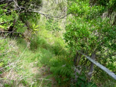 Le sentier est là, quelques marches et un semblant de ramb… 