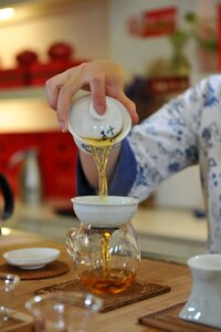 Tea hand Free photos