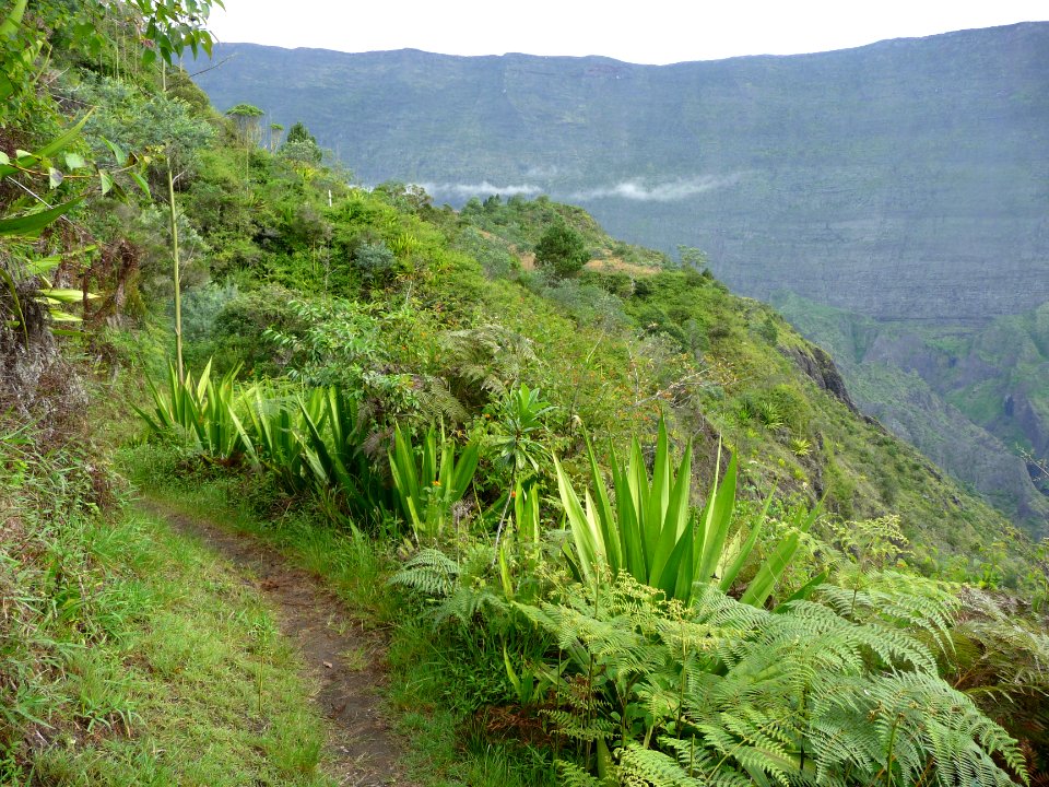 Le sentier se fait plat sur le plateau de La Nouvelle 