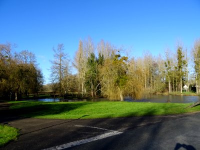 DSC03707 