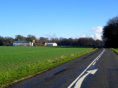 DSC03627 
